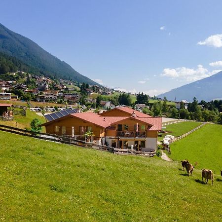Wiltigerhof Daire Fulpmes Dış mekan fotoğraf